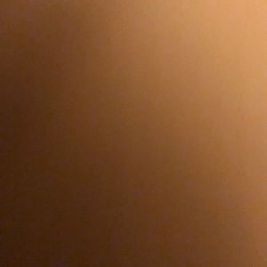 Meet your Posher, Shelby